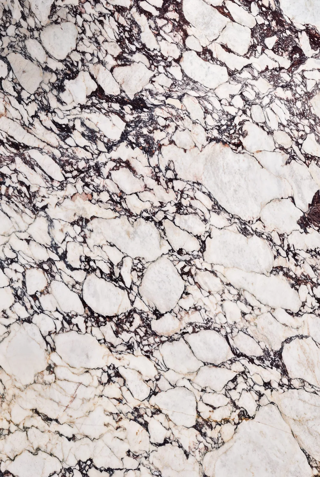 Calacatta Viola engineered stone slab